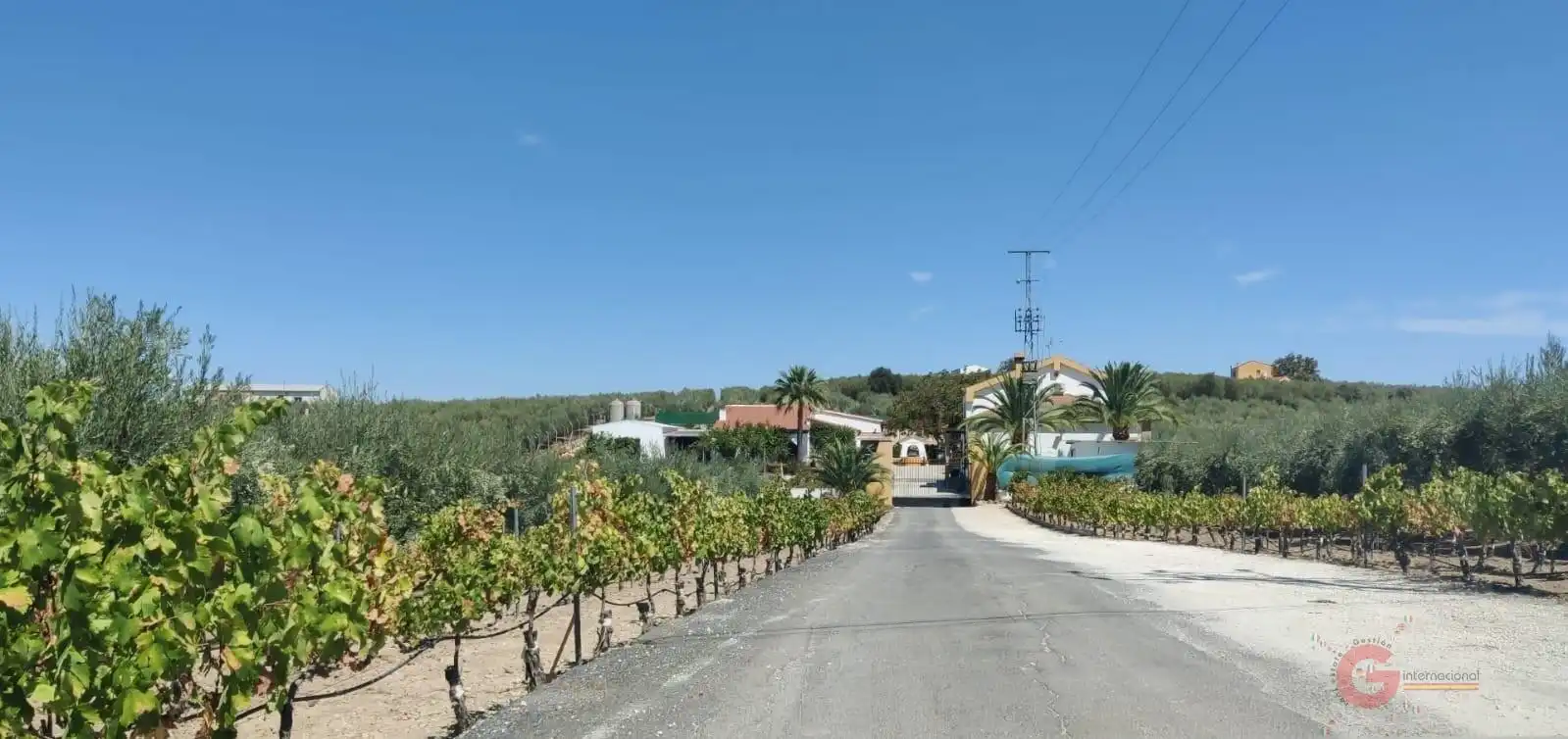 Casa o chalet en venta en Montilla