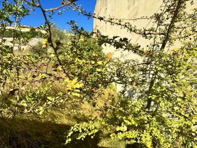 Terrenys i solars en venda a Vila de Palafrugell, imagen 4