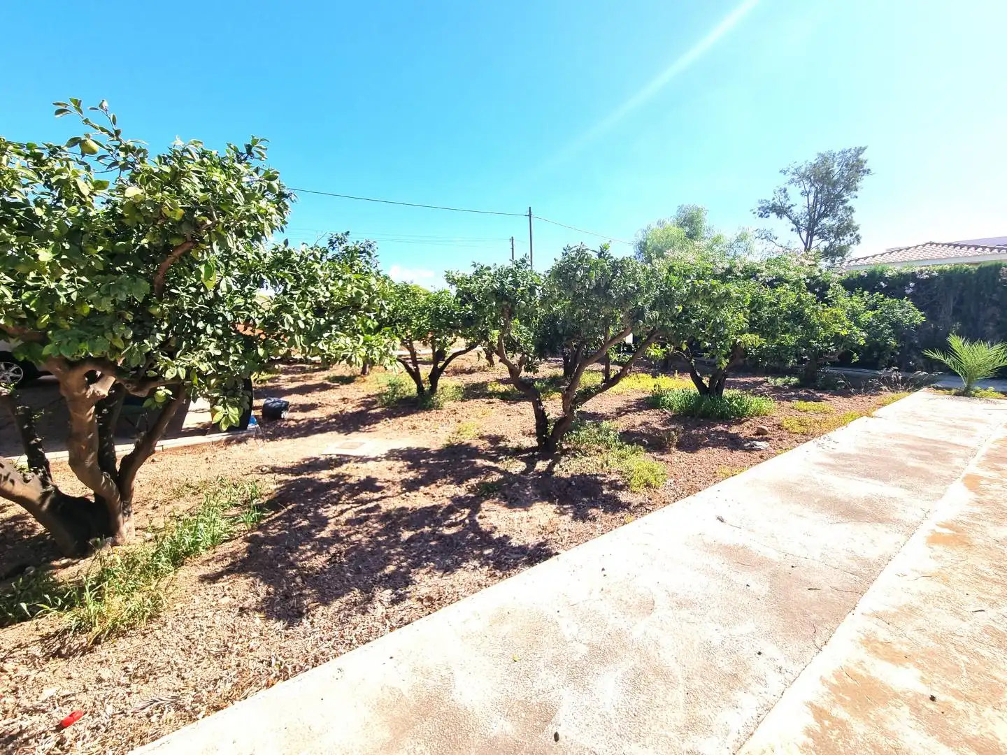 Houses for sale in Partida Boqueres, Villamontes - Boqueres