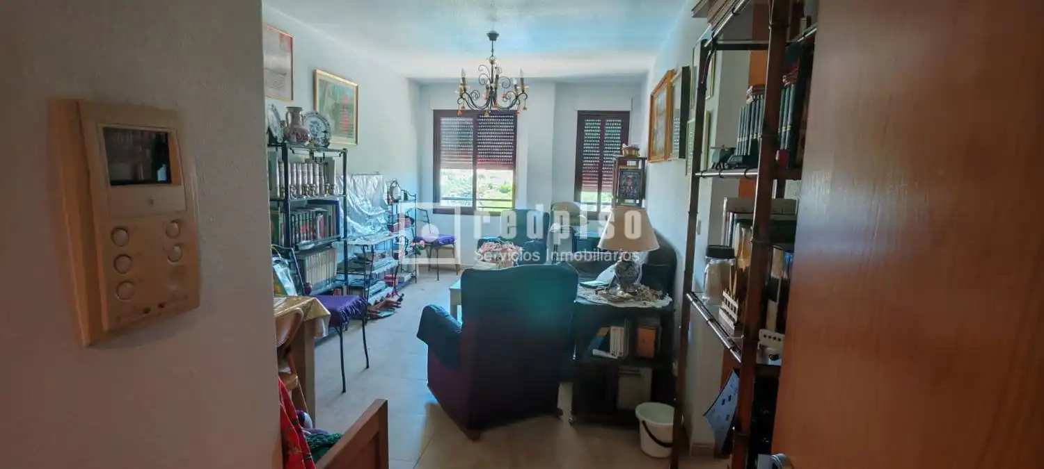 Sala de estar de Piso de alquiler en Murcia con Trastero y Amueblado