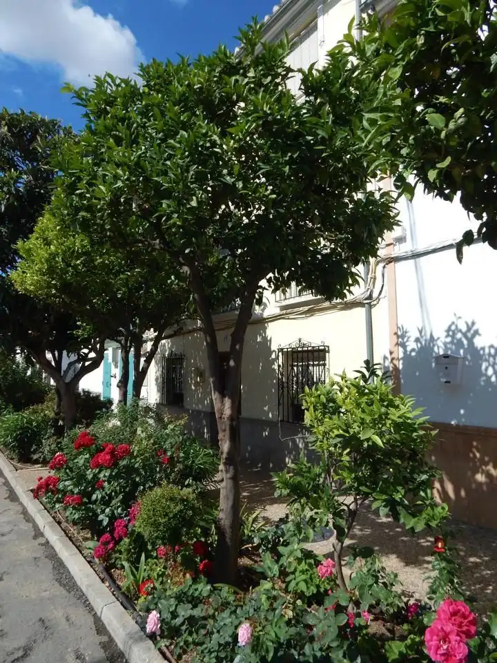 House for sale in Bobadilla - Bobadilla Estación - La Joya, imagen 35