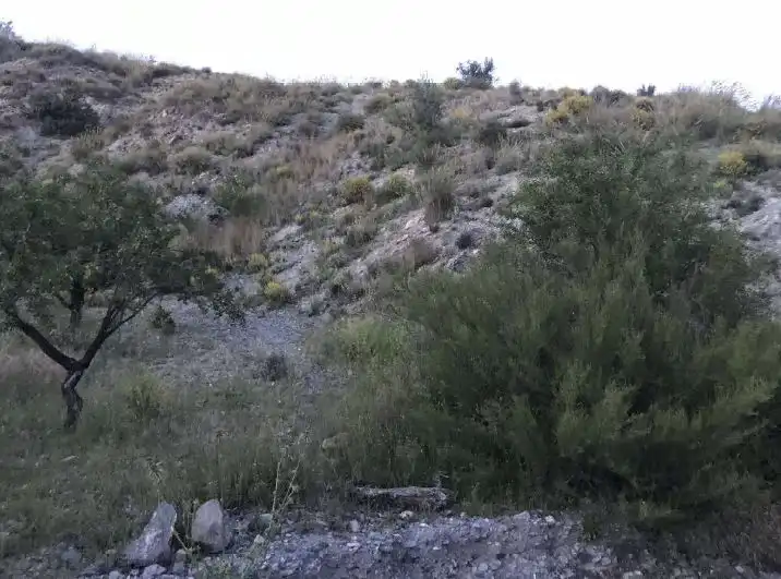 Terreno rustico in vendita a Pedanías Centro