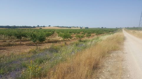 Foto 3 de Terreny en venda a Chinchilla de Monte-Aragón, Albacete