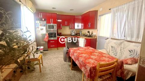 Photo 5 of House or chalet for sale in Los Pedroches, Torrecampo, Córdoba