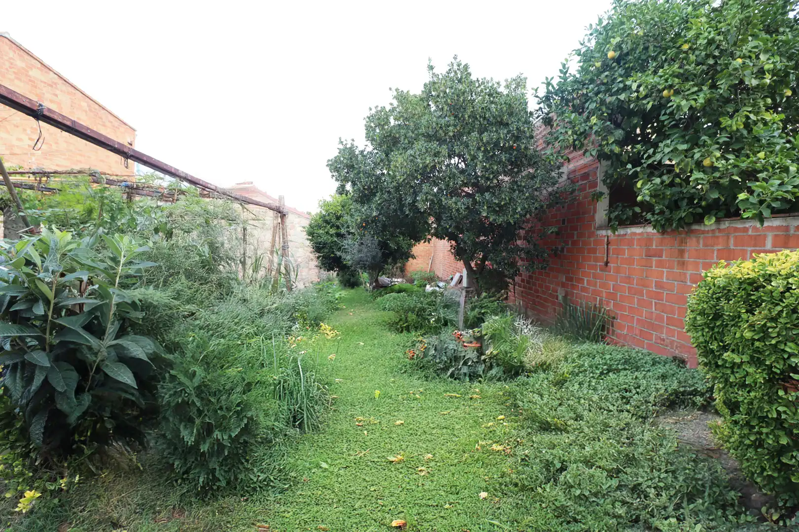 Finca rústica en venda a Camí del Dorca, Les Franqueses del Vallès