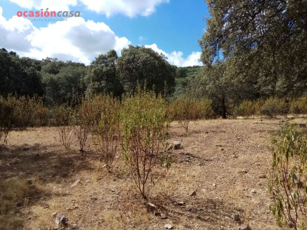 Finca rústica en venta en Villanueva del Duque