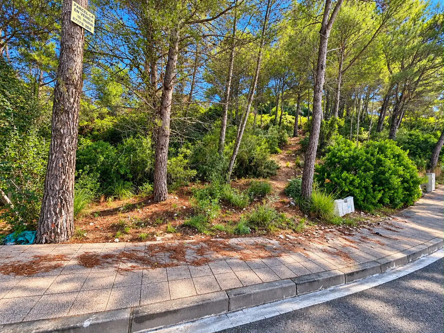 Terreny residencial en venda a Carrer Plana Novella, imagen 5