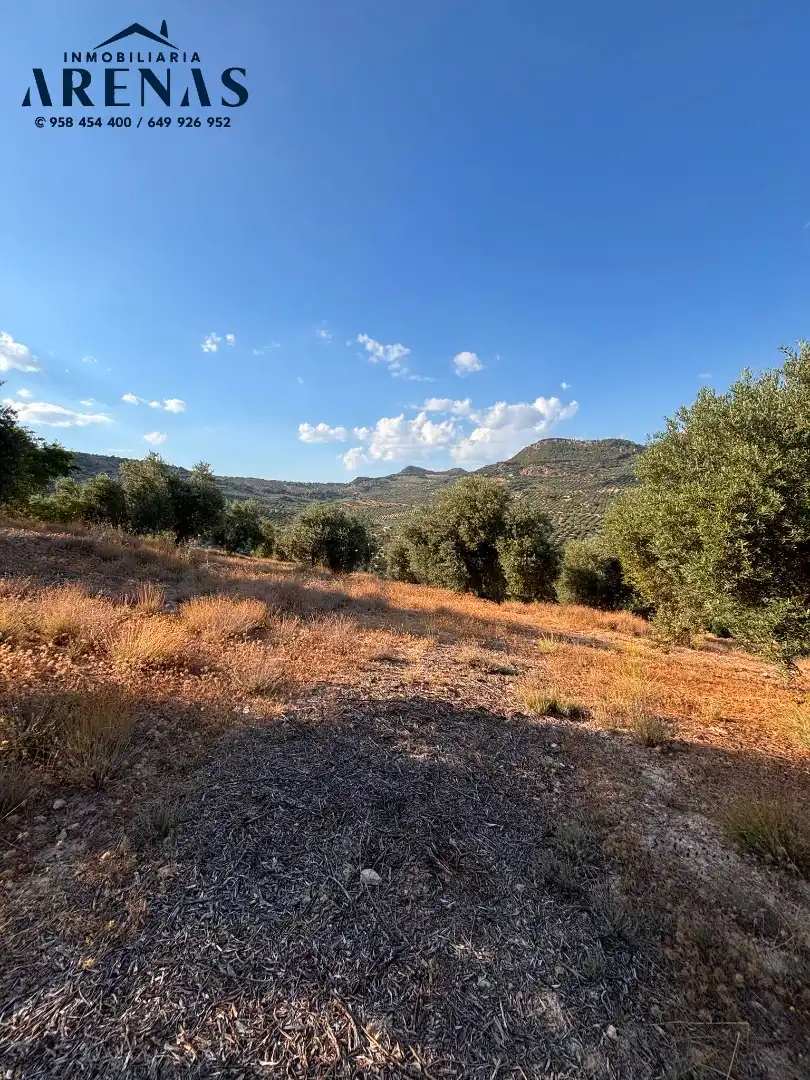 Rustikales Grundstück zum Verkauf in Carretera Montefrío, imagen 2