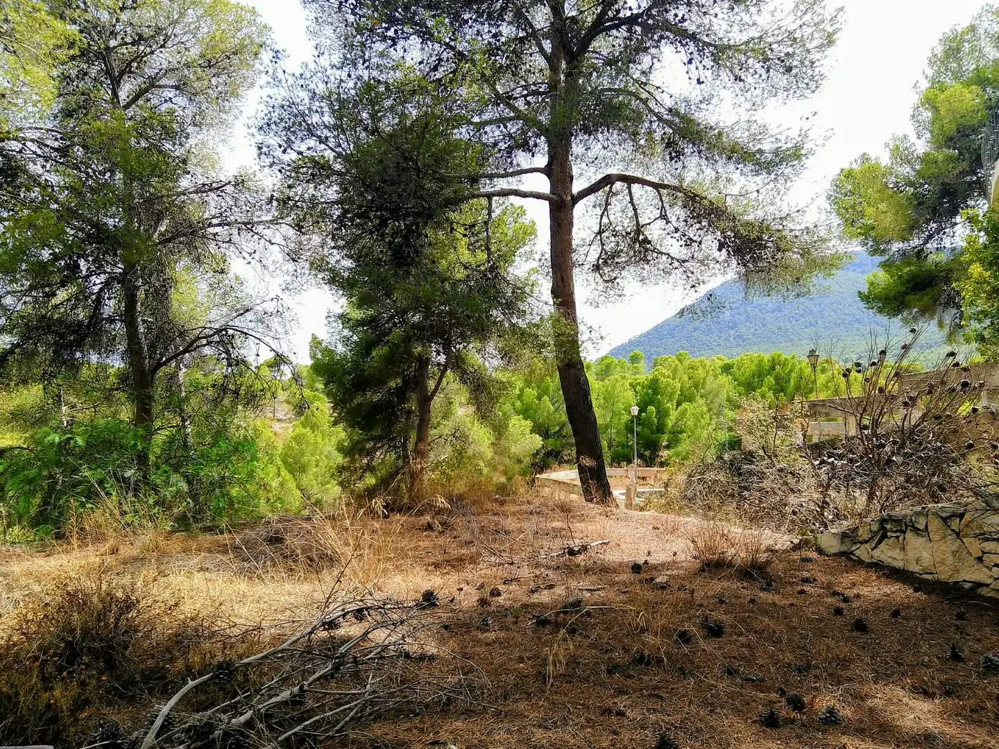 Finca rústica en venta en Tibi con Jardín privado y Terraza