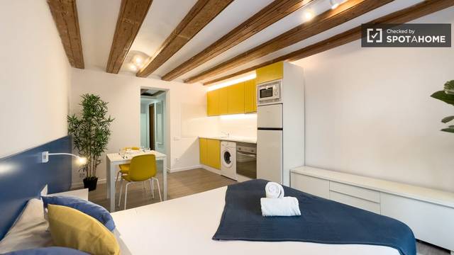 Piso en Alquiler en Barri Gòtic