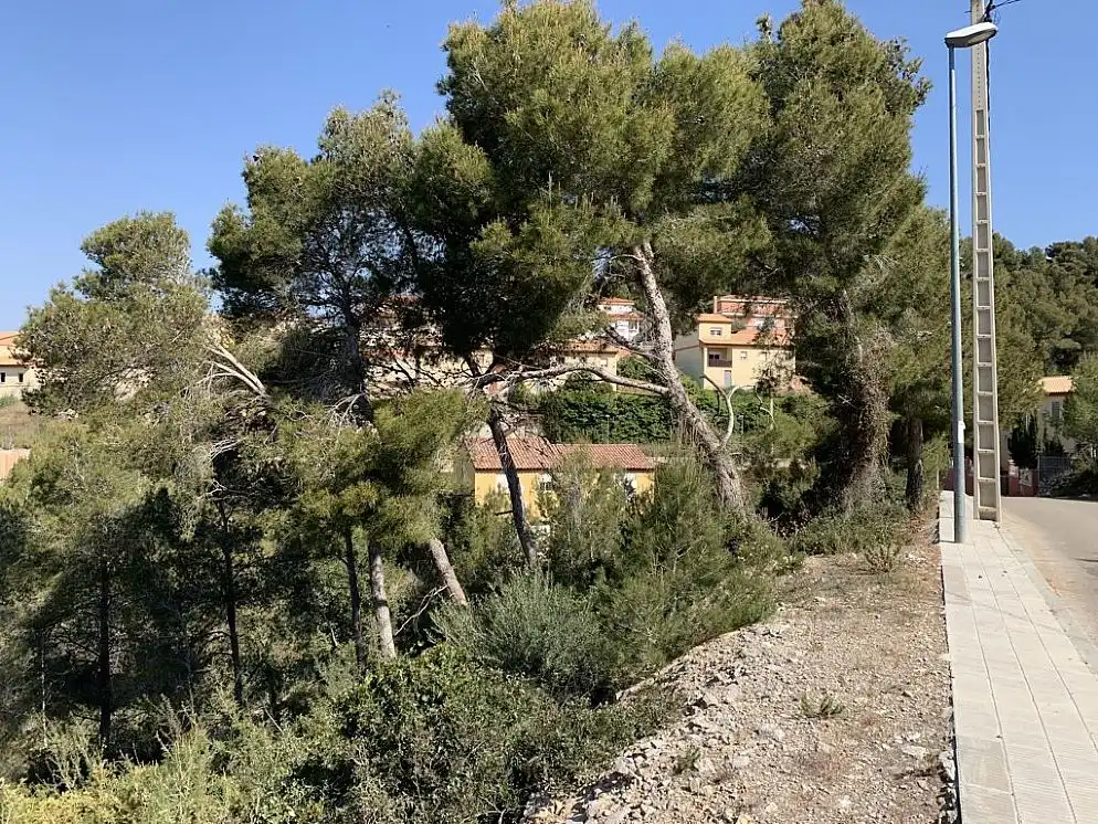 Office for sale in C/ Petunia , Valldemar - Montmar