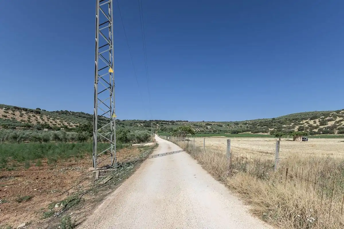 Land for sale in Montefrío