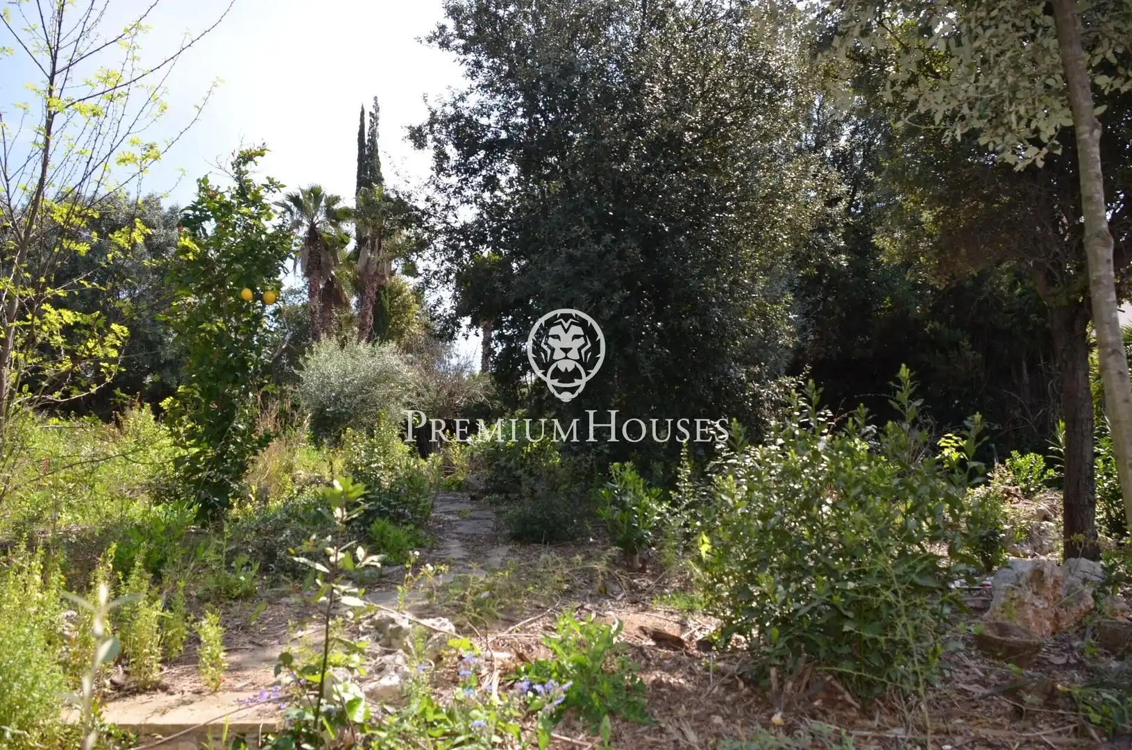 Terreno residenziale in vendita a Masnou Alt, imagen 8
