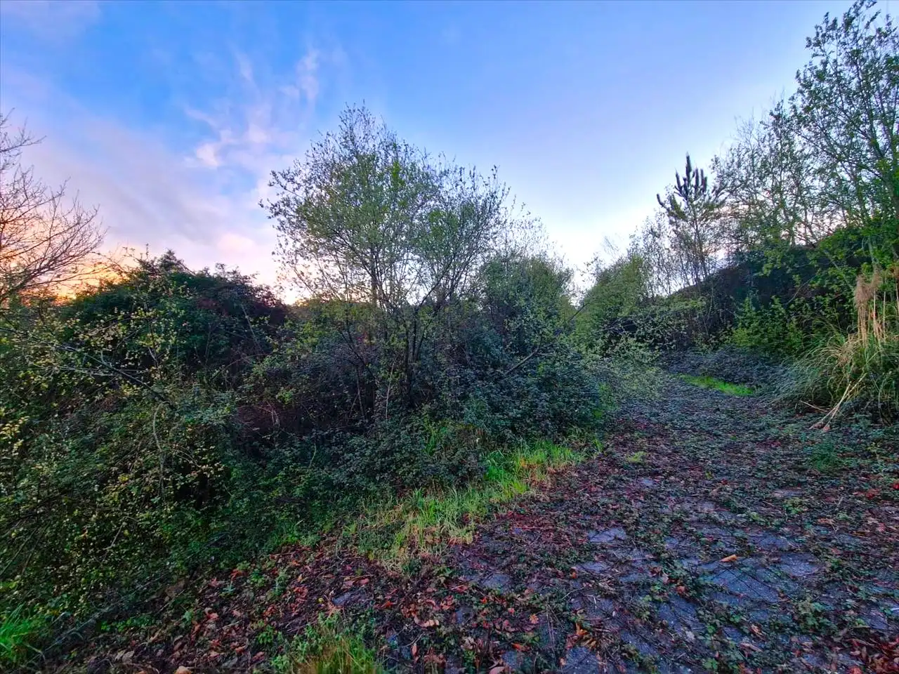 Wohnbaugrundstück zum Verkauf in Burgo-Bahiña, imagen 13