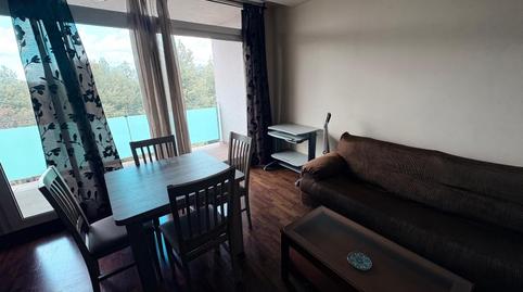 Foto 4 de Piso de alquiler en Avenida Jose Hdez de la Asuncion, Almansa, Albacete