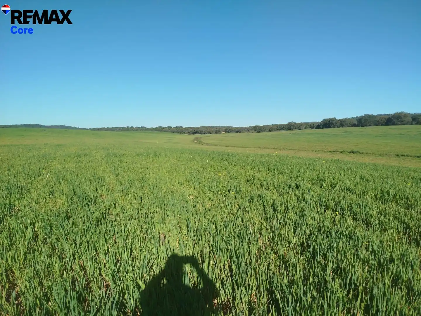 Land for sale in Mérida