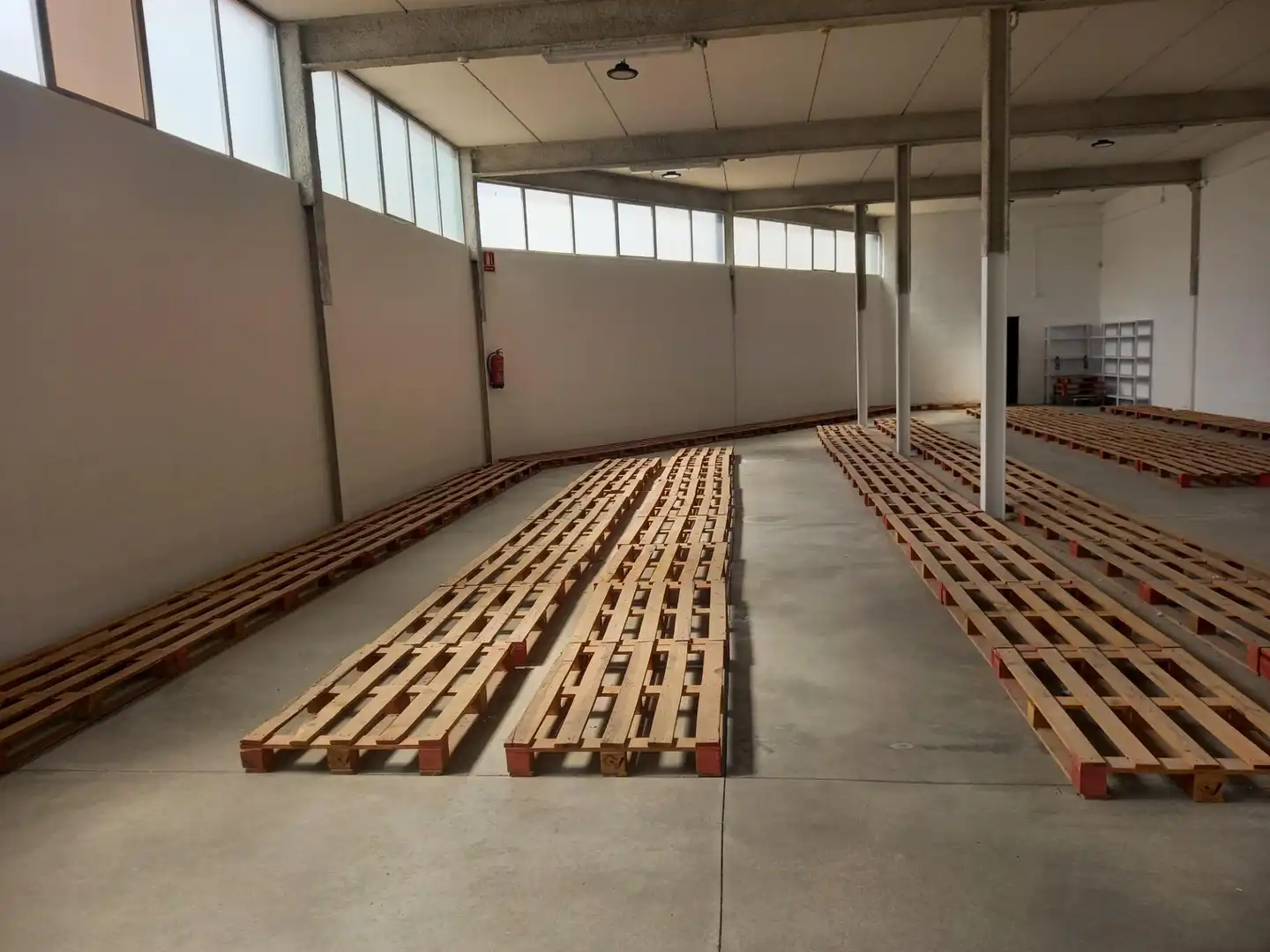 Nave industrial en alquiler en Elche ciudad