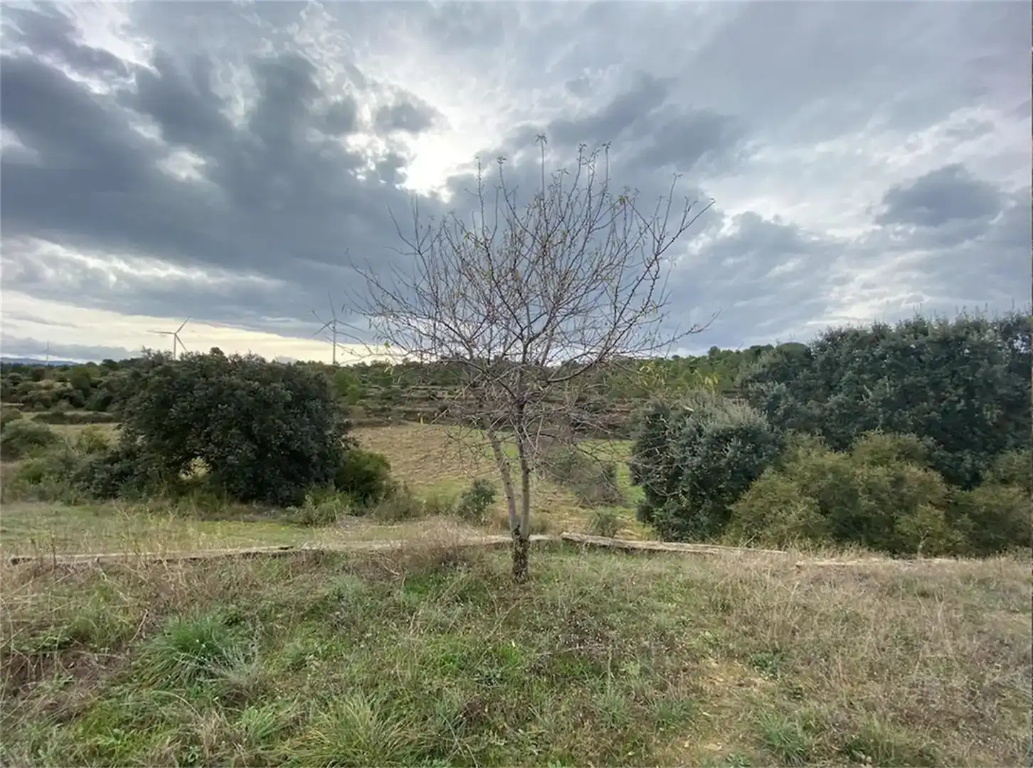 Finca rústica en venta en La Granadella con Jardín privado, Amueblado y TV
