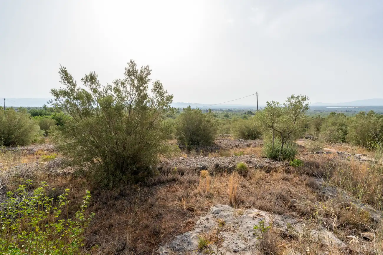 Land for sale in Roquetes