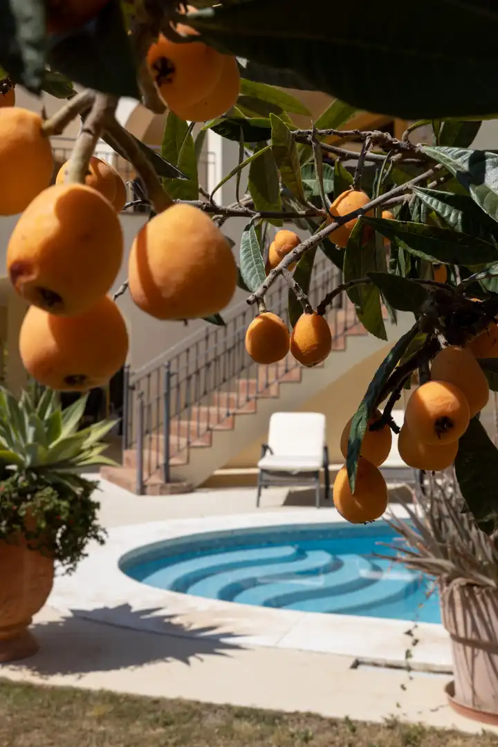 Casa con piscina en venta en Marbella Centro, imagen 29