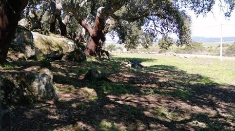 Foto 3 de Casa o chalet en venta en San Vicente de Alcántara, Badajoz