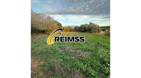 Foto 2 de Finca rústica en venda a Tamariu, Palafrugell