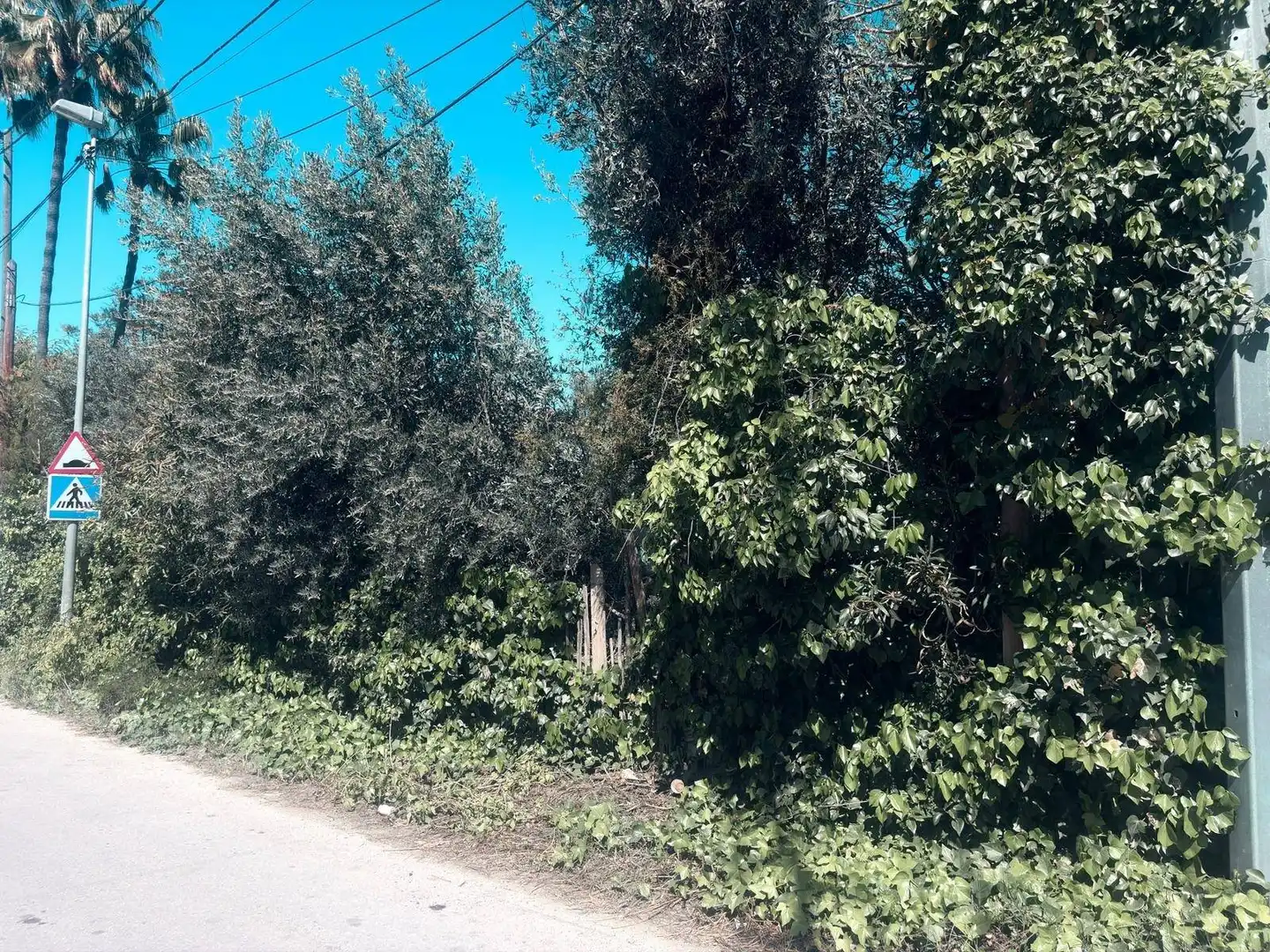 Terreny rústic en venda a Pedanías Norte, imagen 10