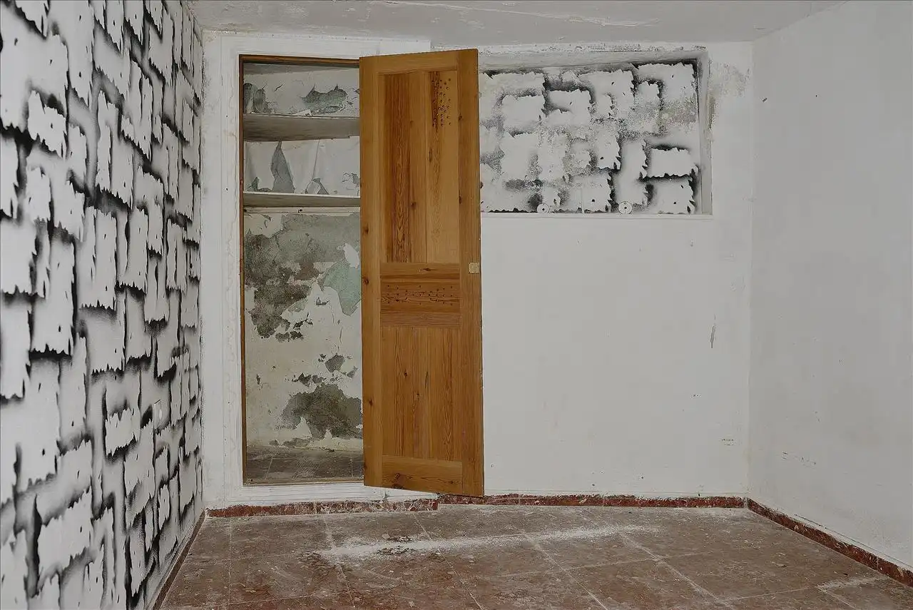 Detached homes for sale in Algeciras