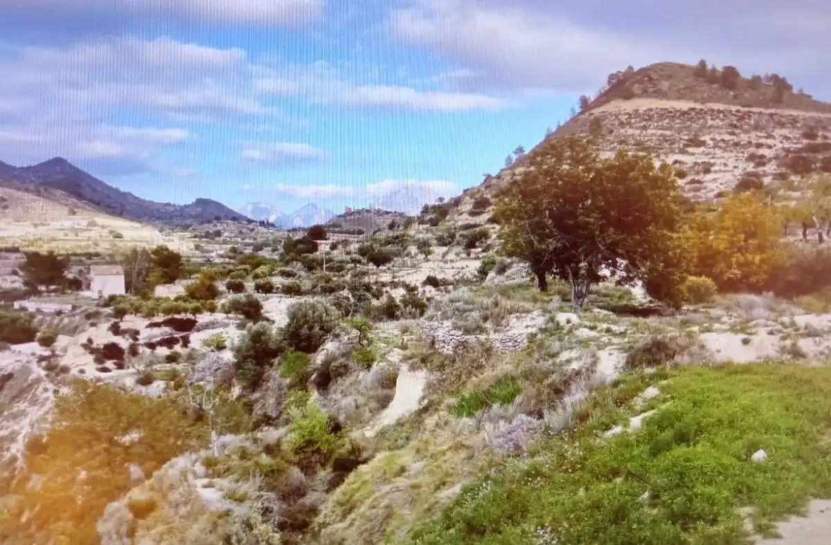 Casa o xalet en venda en Relleu amb Jardí privat i Traster