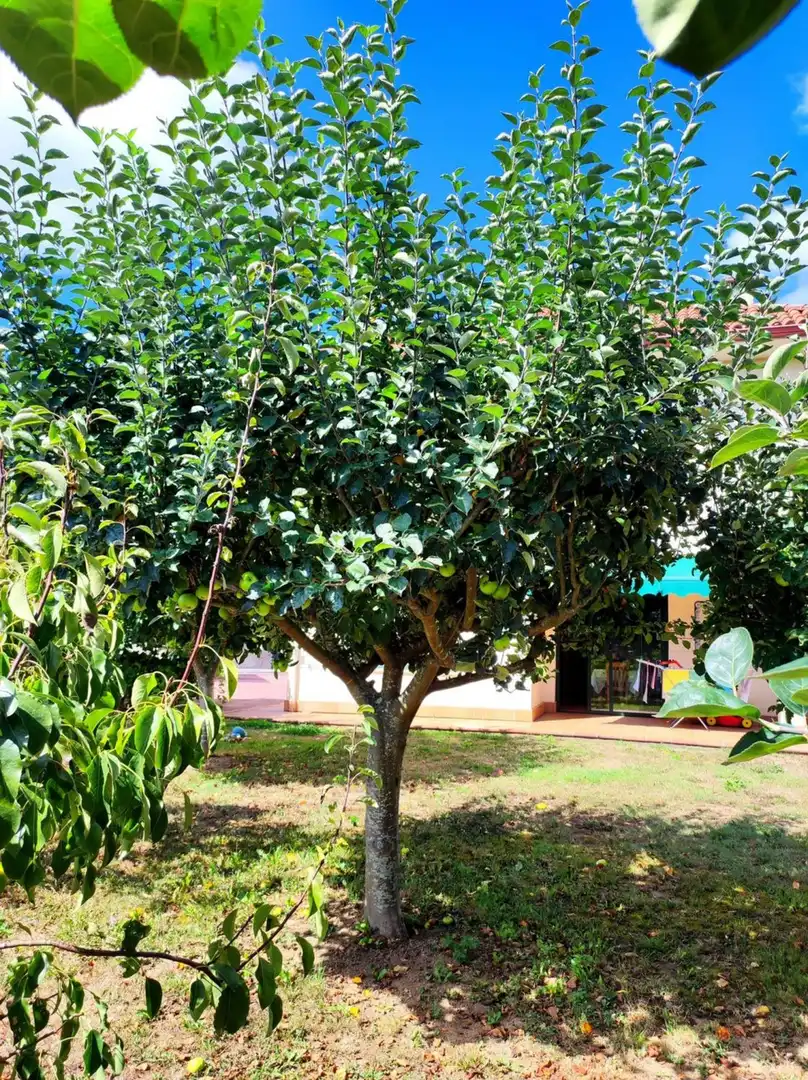 Villa con giardino in vendita a SOBRE IGREXA, imagen 78