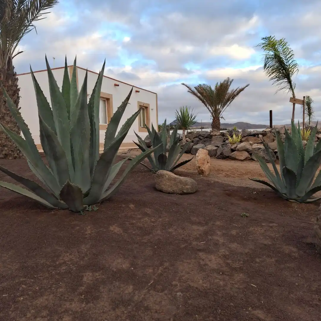 Jardín de Casa o chalet en venta en Tuineje con Jardín privado, Terraza y Trastero