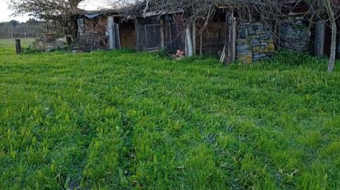 Photo 3 of Houses for sale in Lugar Lamas-pq, 11, Monforte de Lemos, Lugo