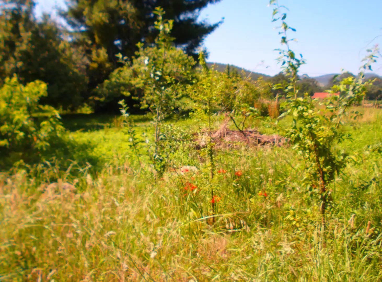 Country house zum Verkauf in Puente Viesgo mit Privatgarten