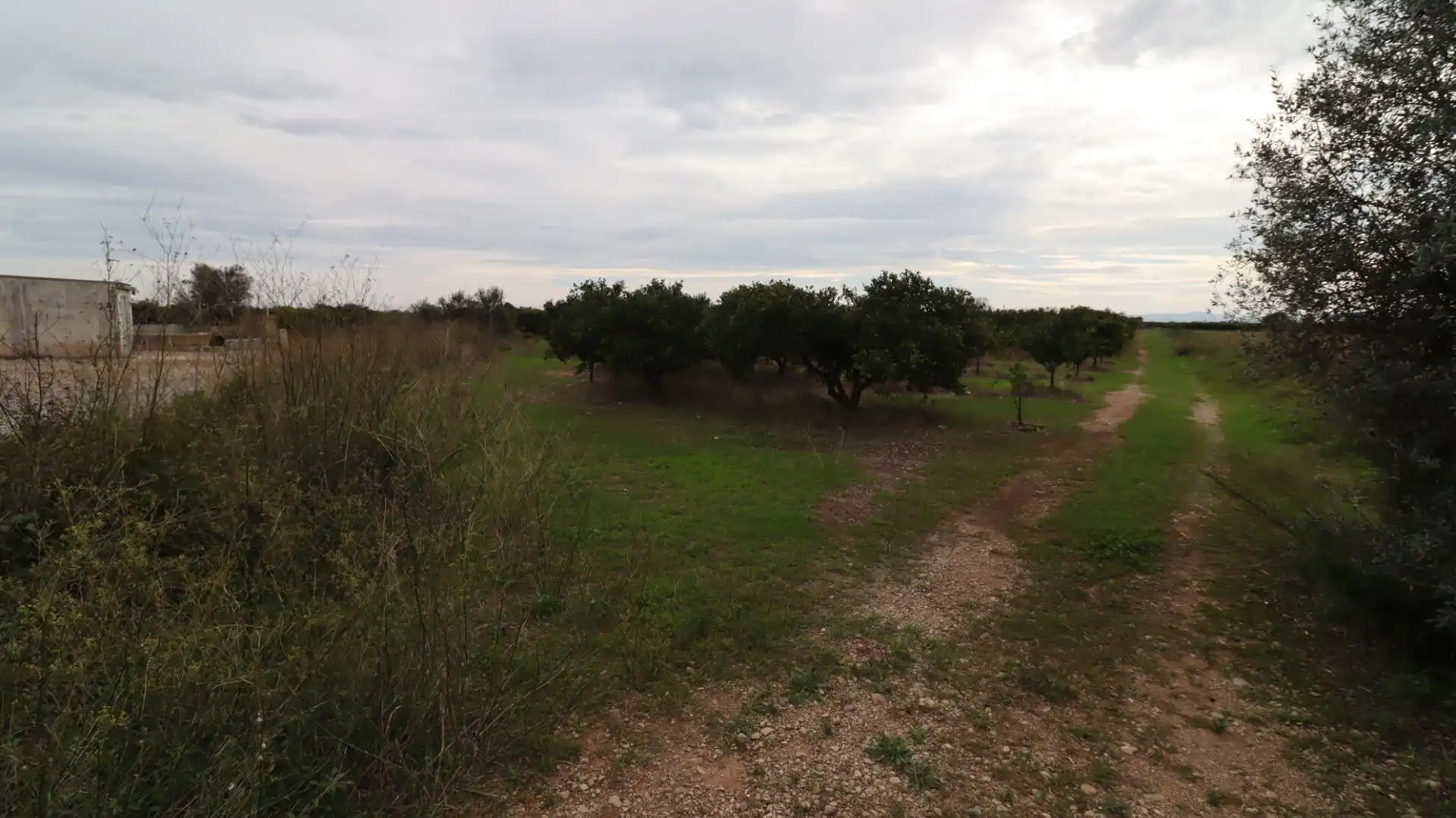 Terreno rustico in vendita a Partidas de interior - Zona Rústica, imagen 13