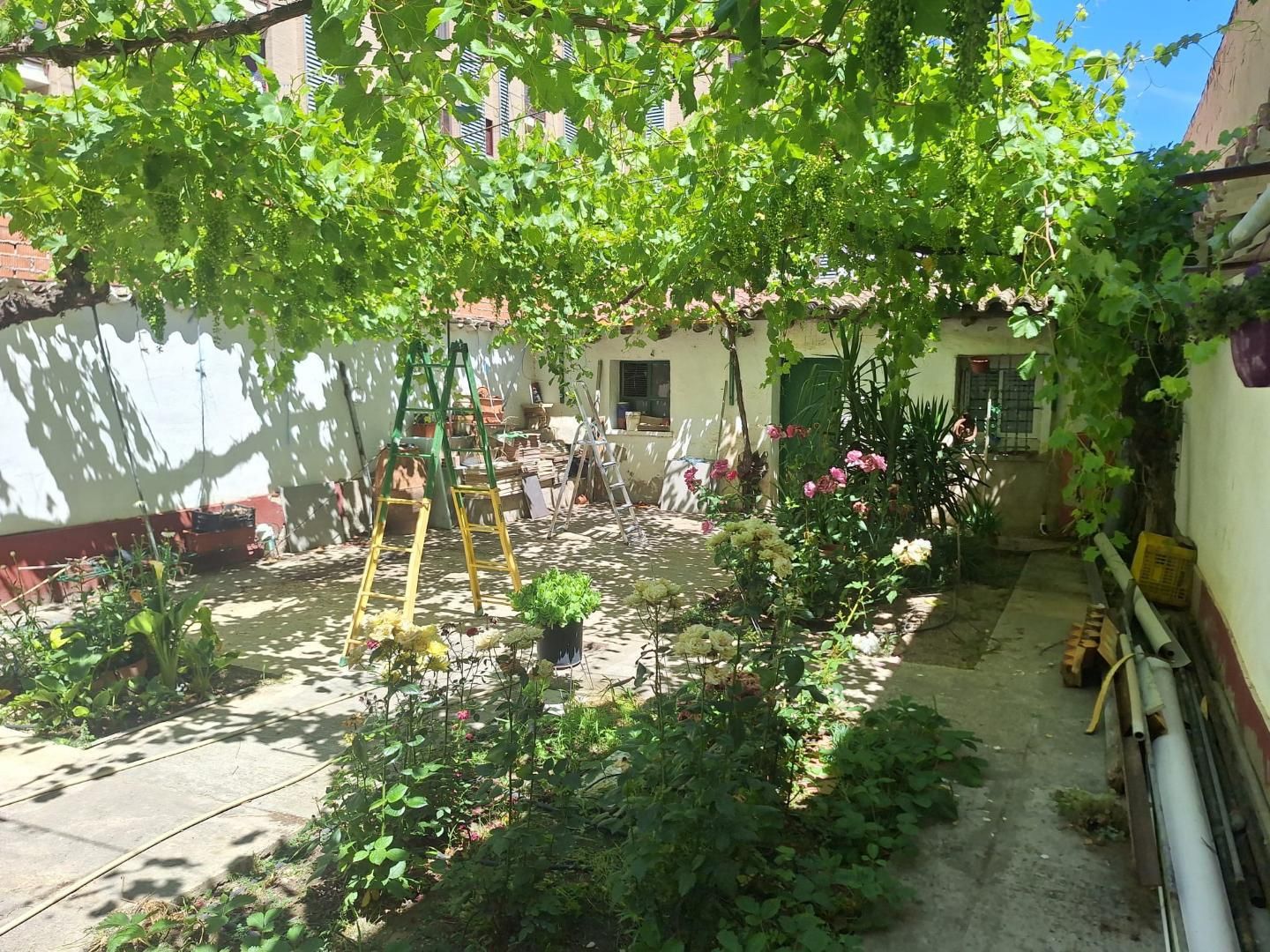 Garden of House or chalet for sale in  Zaragoza Capital