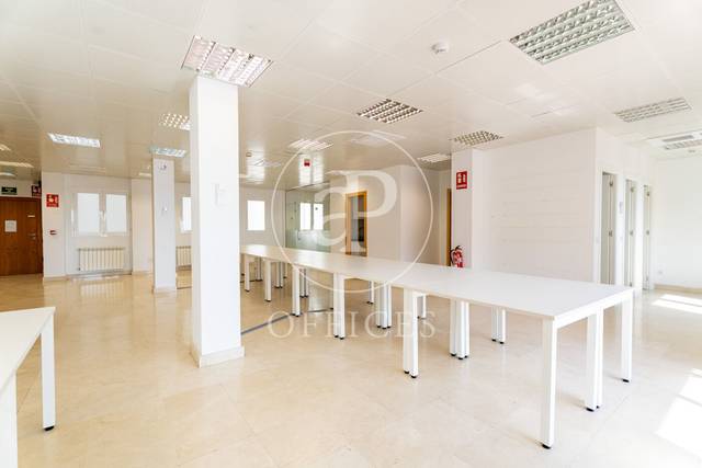 Oficina en Alquiler en El Viso