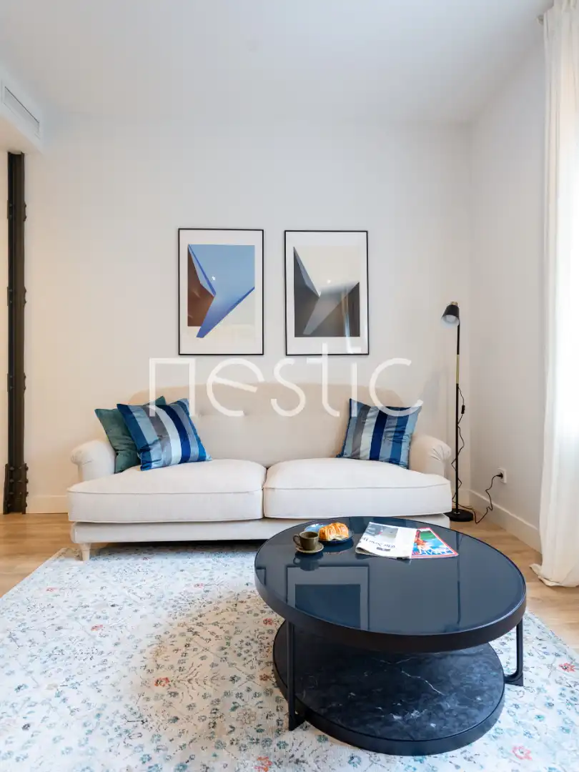Sala d'estar de Apartament de lloguer en Madrid amb Aire condicionat, Calefacció i Moblat