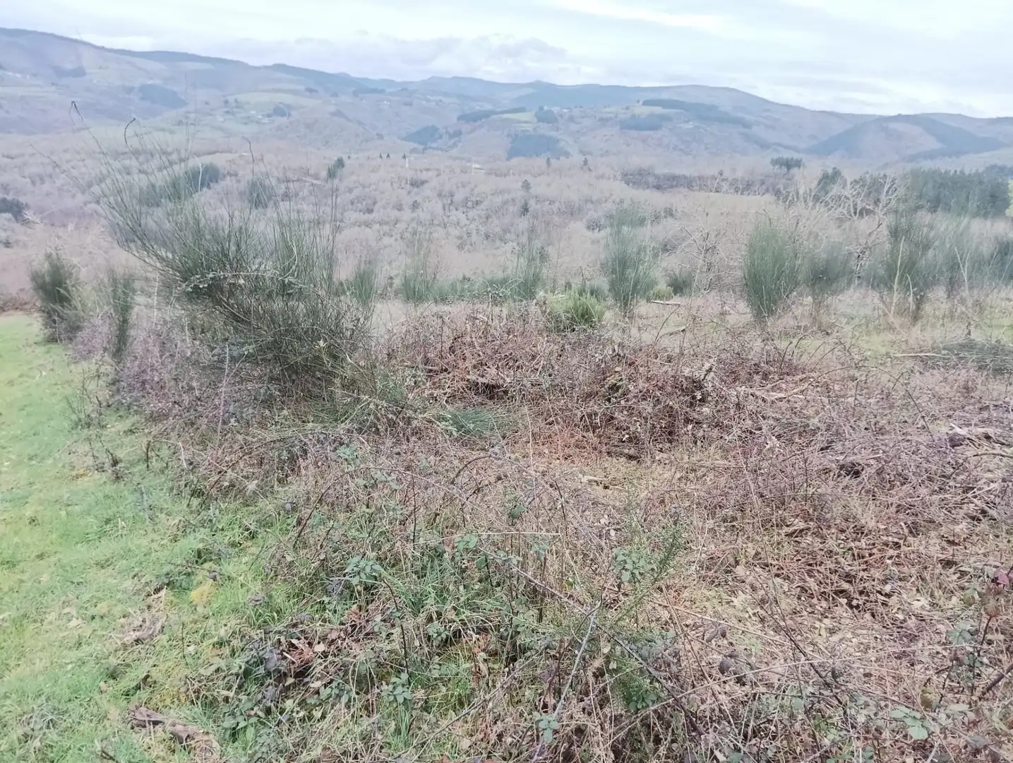 Finca rústica en venta en Becerreá