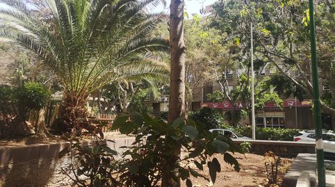Foto 4 de Planta baixa en venda a Avenida de Benito Pérez Armas, 8, Buenavista - Chapatal, Santa Cruz de Tenerife Capital