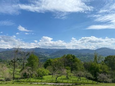 Terreni e lotti in vendita a Beceña