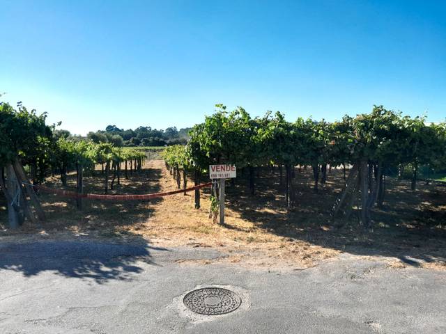 Terreno en Venta en Rúa Rabadeiro, 2 en Ribadumia