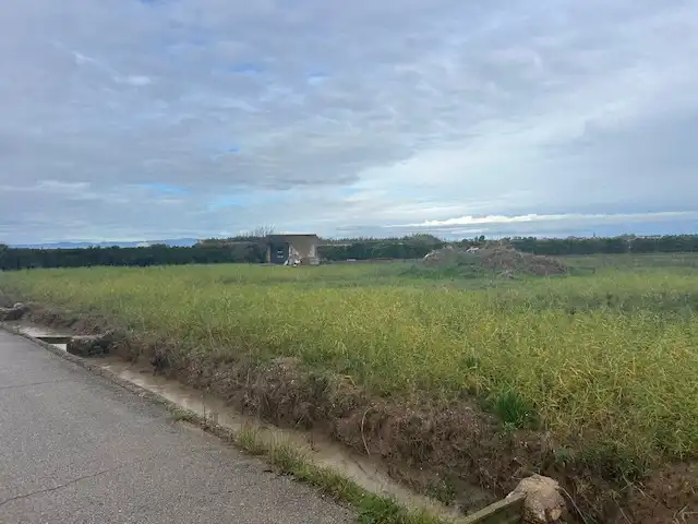 Rural land for sale in Fortaleny, imagen 7