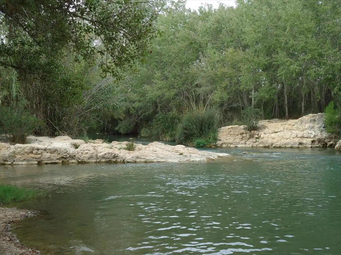 Piscina de Casa o xalet en venda en Riba-roja de Túria