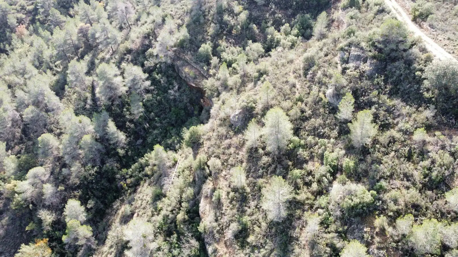 Terreno rustico in vendita a Cervià de Les Garrigues, imagen 2