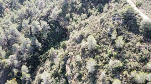 Terreno en venta en Tapiades, imagen 2