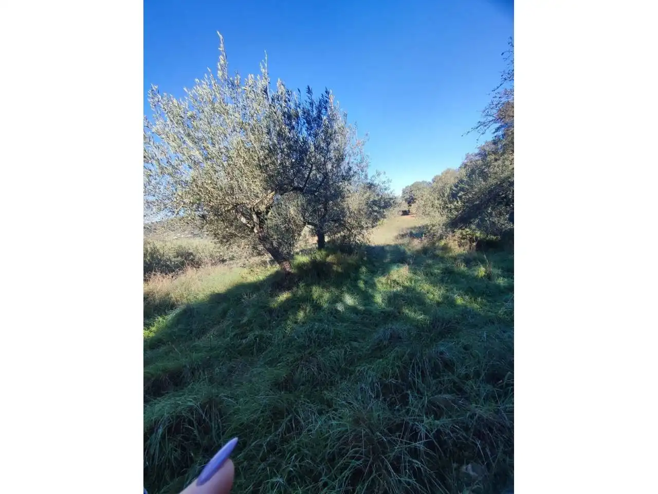 Residencial en venta en El Grado