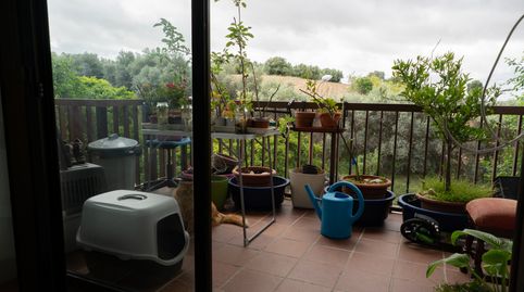 Foto 5 de Dúplex en venta en Avenida del Salobral, 3, Talamanca de Jarama, Madrid