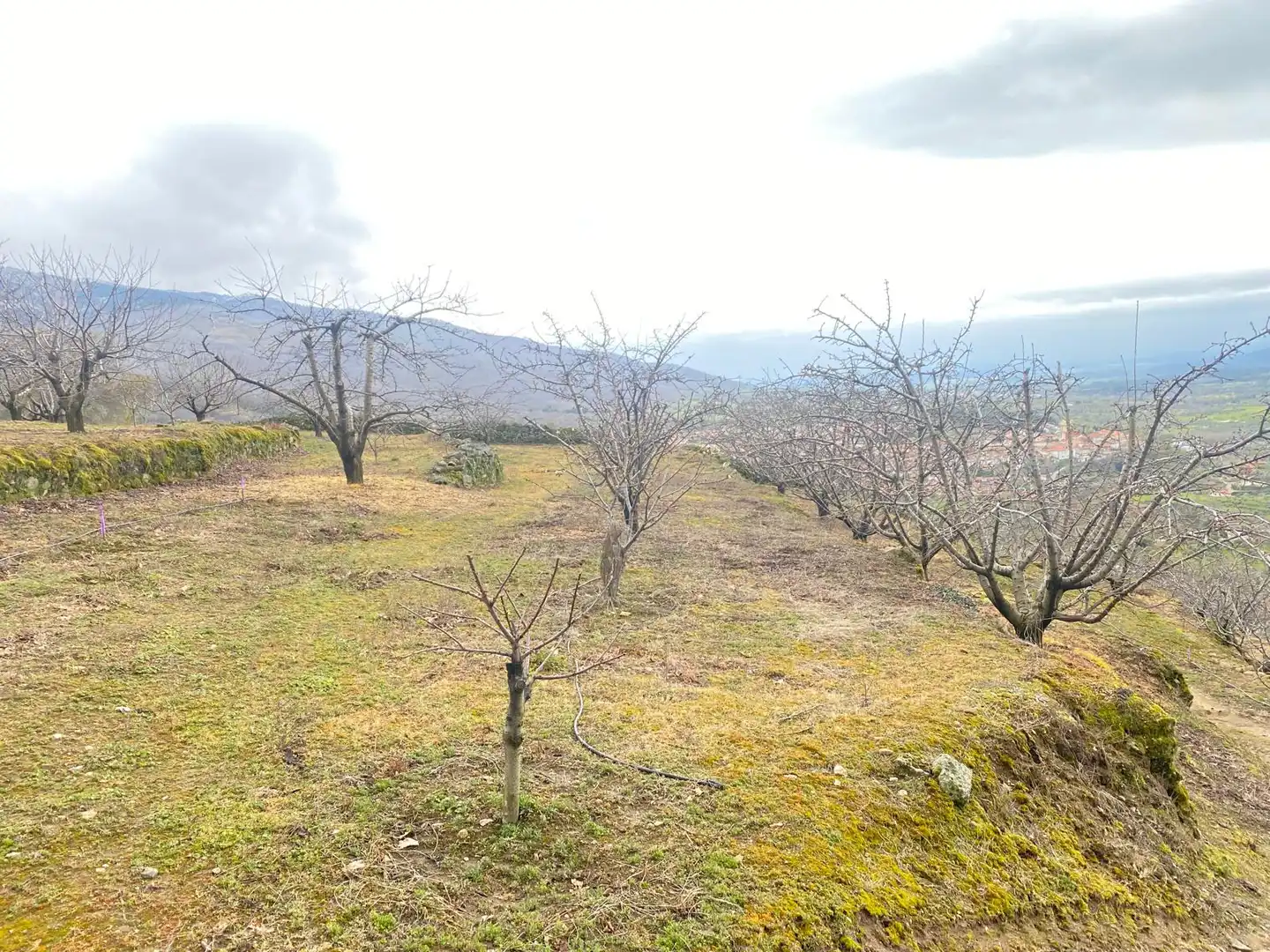 Terreni e lotti in vendita a Hervás, imagen 14
