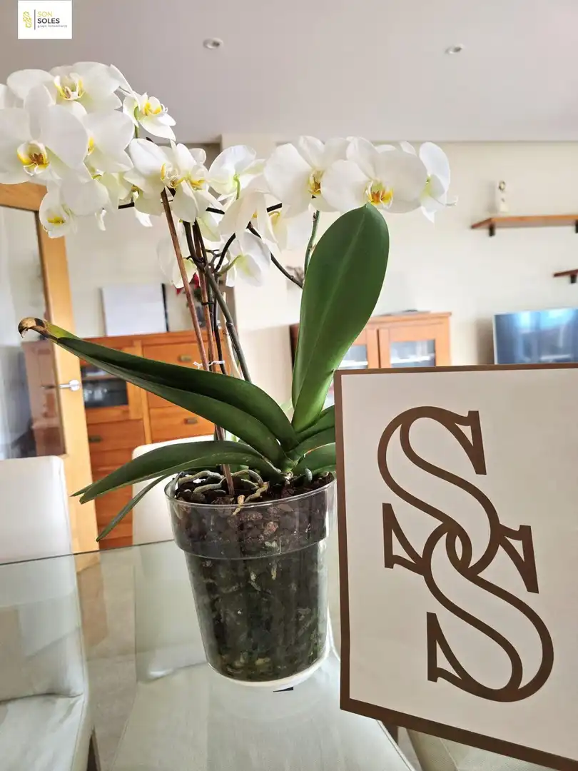 Casa o chalet en venta en Santa Cruz de Bezana con Calefacción, Jardín privado y Terraza
