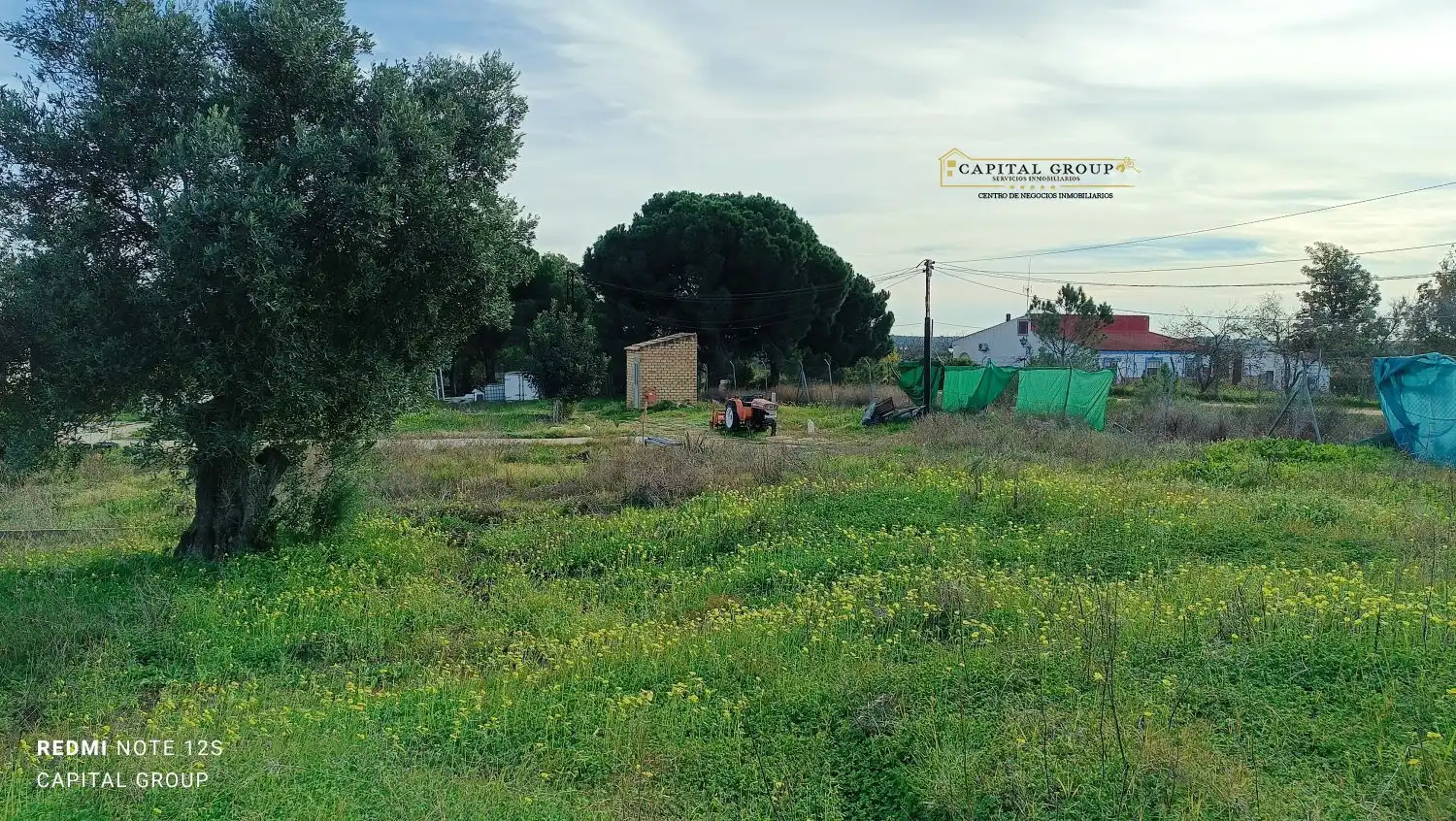 Terrenos y solares en venta en Gibraleón, imagen 30